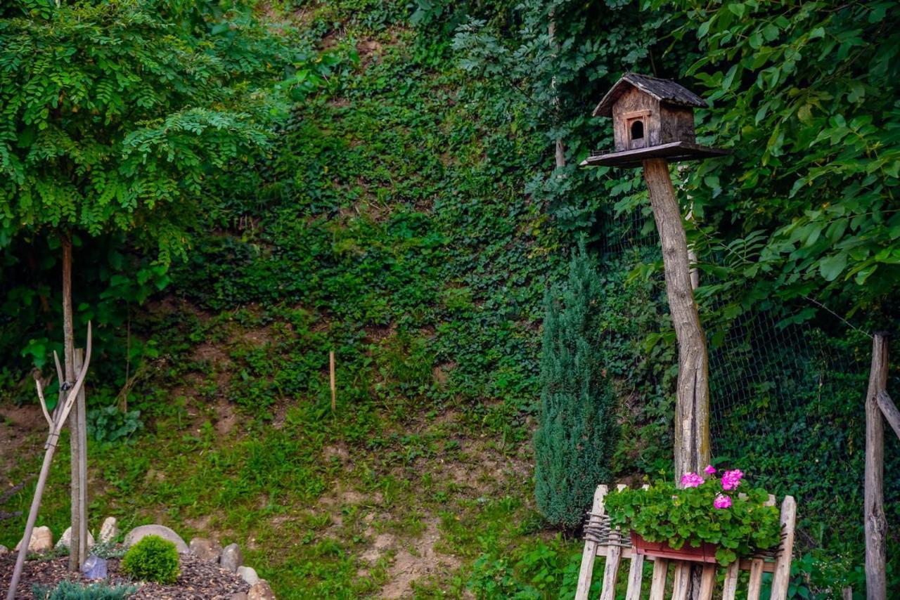 Etno Kuca Todorovic Villa Smederevo Ngoại thất bức ảnh
