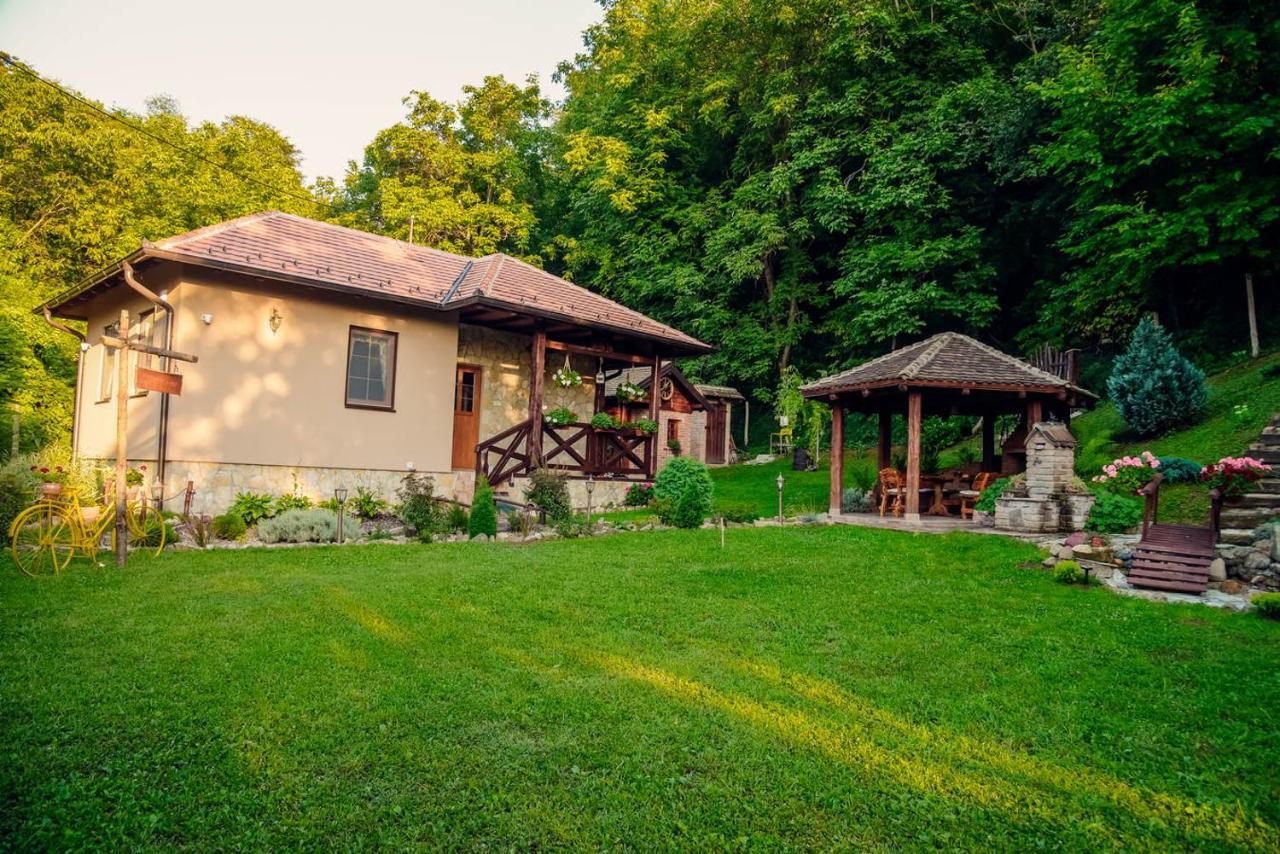 Etno Kuca Todorovic Villa Smederevo Ngoại thất bức ảnh