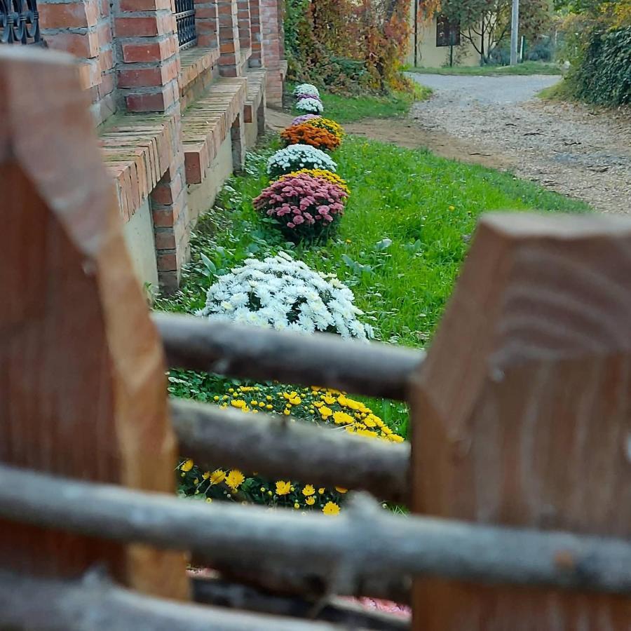 Etno Kuca Todorovic Villa Smederevo Ngoại thất bức ảnh