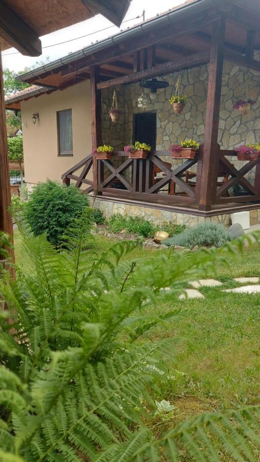 Etno Kuca Todorovic Villa Smederevo Ngoại thất bức ảnh