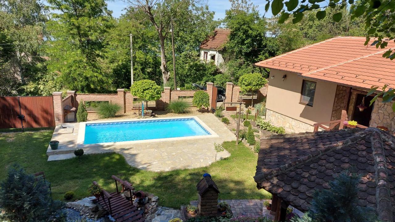 Etno Kuca Todorovic Villa Smederevo Ngoại thất bức ảnh